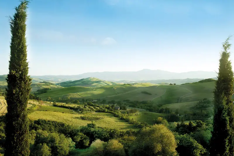 The hills of the Sienese countryside
