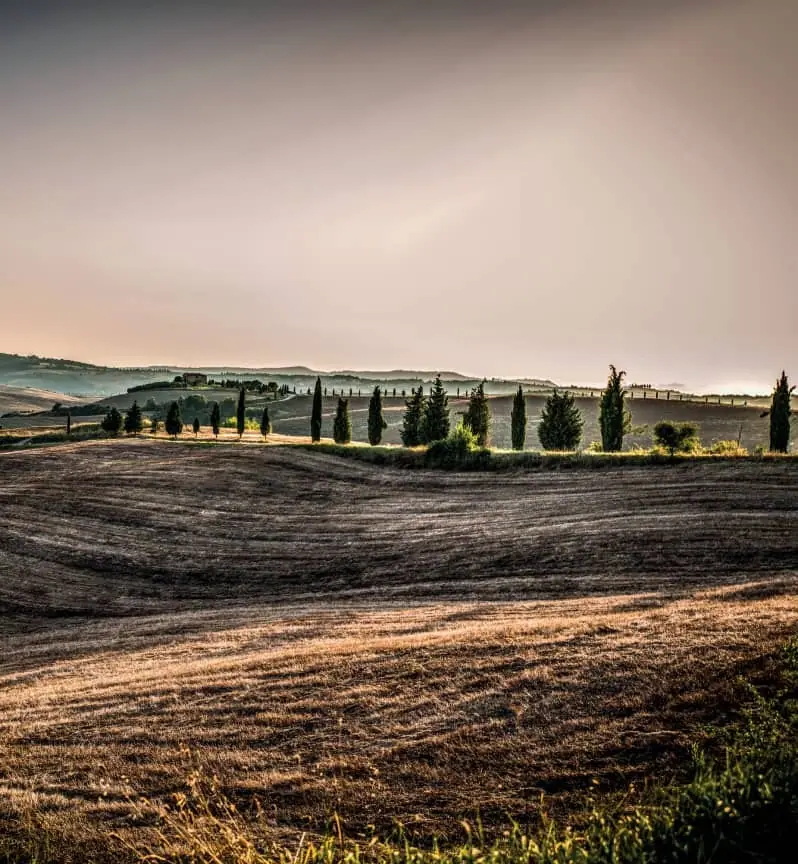 La campagna senese al tramonto